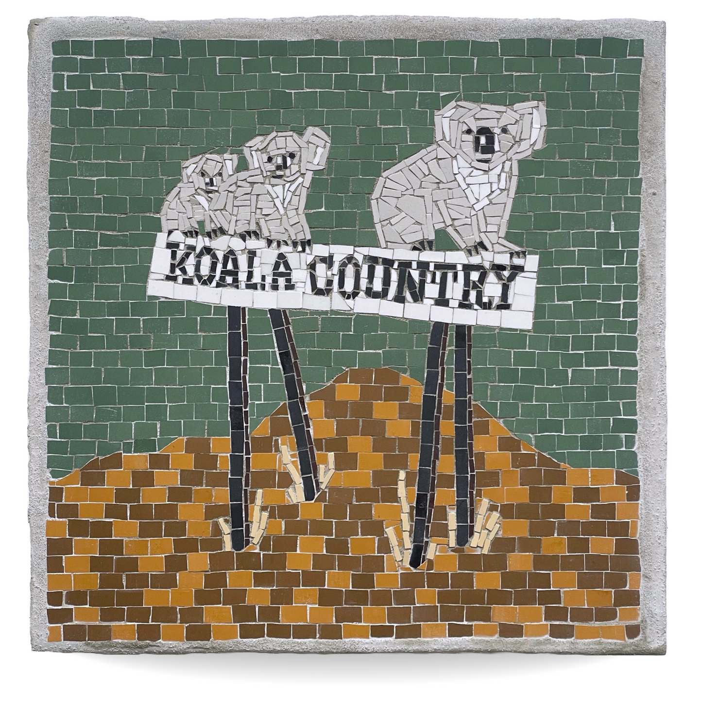 Koala Country